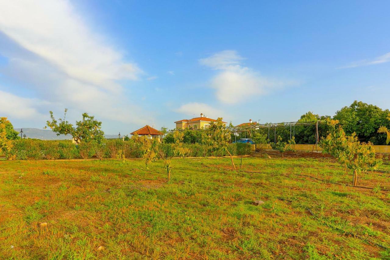 Villa Athina Finiki Polis 外观 照片